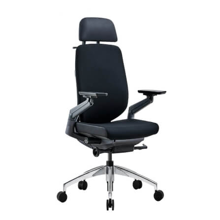เก้าอี้เพื่อสุขภาพ DF PROCHAIR รุ่น Challenge สีดำ_2